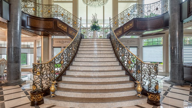 Conifer9 - Trimmed 1